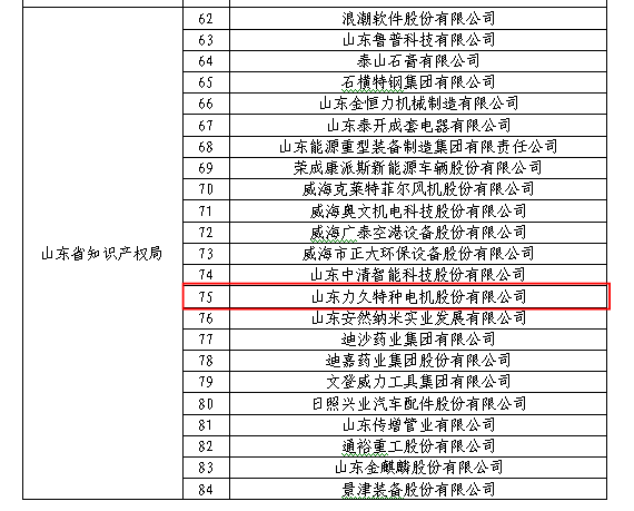 山东j九游会官网特种电机股份有限公司