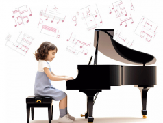 排名第3：电子科技大学成都学院；